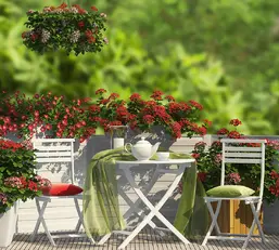  Divino Decor 2.70*3 D2-110