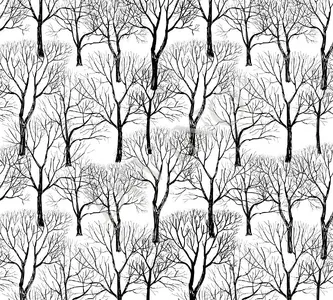  Divino Decor 2.70*3 E1-060 -  1