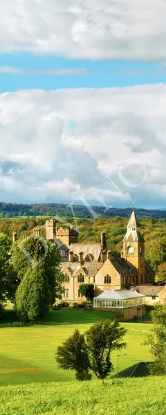  Divino ������� MRB-0243-3-47