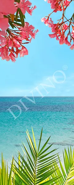 Divino  MRB-0255-3-47