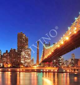   Divino  LRB-0066-1-124