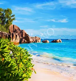  Divino ������� LRB-0084-1-124