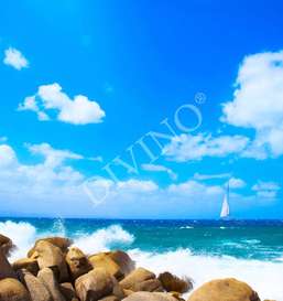   Divino  LRB-0085-1-124