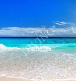  Divino Природа LRB-0090-1-124