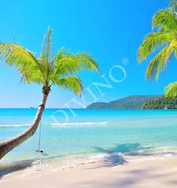  Divino  LRB-0093-1-124