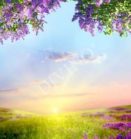   Divino  LRB-0102-1-124