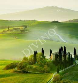   Divino  LRB-0107-1-124