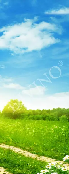  Divino  MRB-0239-3-47