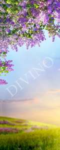   Divino  MRB-0240-3-47