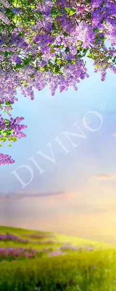  Divino  MRB-0240-3-47