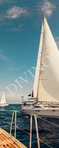   Divino  MRB-0251-3-47