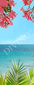   Divino  MRB-0255-3-47