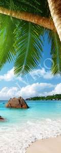 Рулонные шторы Divino Природа MRB-0256-3-47