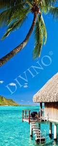   Divino  MRB-0258-3-47