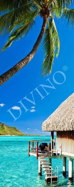  Divino Природа MRB-0258-3-47