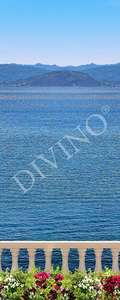   Divino  MRB-0262-3-47