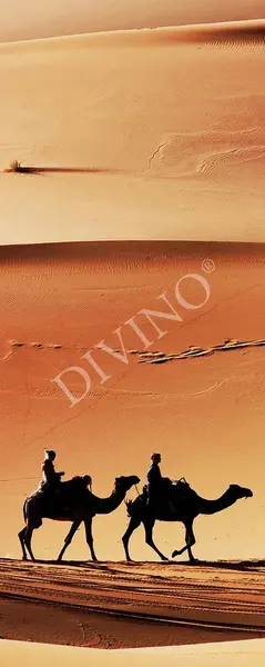  Divino  MRB-0290-3-47