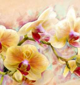   Divino  LRB-0255-1-124