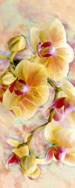  Divino �������� MRB-0151-3-47