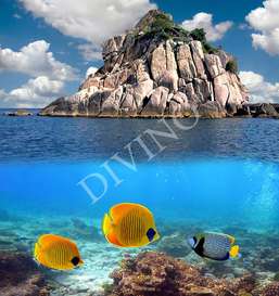   Divino   LRB-0307-1-124