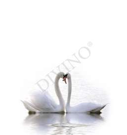   Divino   LRB-0312-1-124
