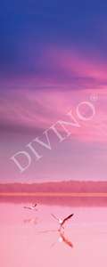   Divino   MRB-0287-3-47