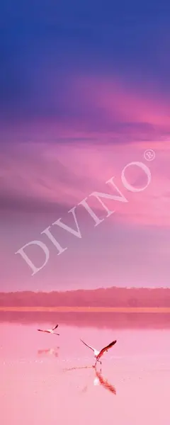  Divino   MRB-0287-3-47