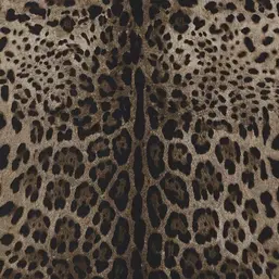  Dolce&Gabbana Casa 1  30001DG