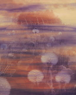 ���� Emiliana Parati Tendenze 73898