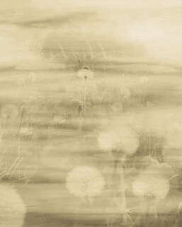 ���� Emiliana Parati Tendenze 73899