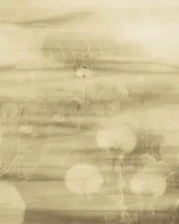  Emiliana Parati Tendenze 73899