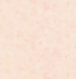  Emiliana Parati Blumarine home 4 BM27077