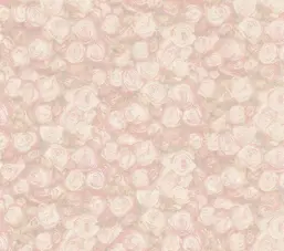  Emiliana Parati Blumarine home 4 BME27232