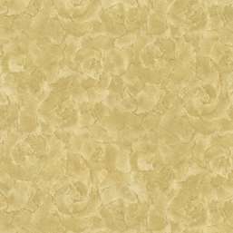  Roberto Cavalli Roberto Cavalli 3 RC14097
