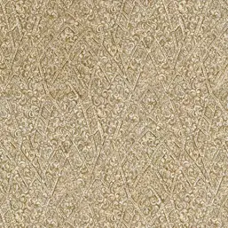  Roberto Cavalli Roberto Cavalli 5 RC16038