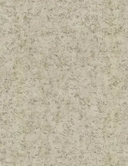  Emiliana Parati Unconventional UC50030