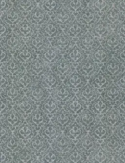  Emiliana Parati Unconventional UC50039