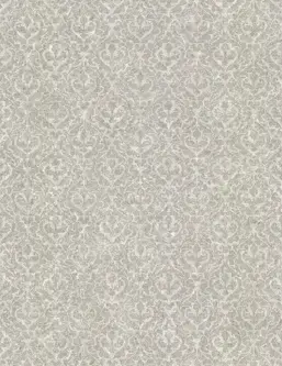  Emiliana Parati Unconventional UC50041