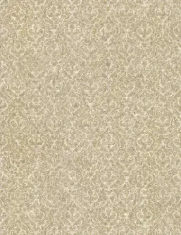  Emiliana Parati Unconventional UC50043