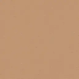  Erismann Casual Chic ER12143-11