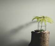  Erismann Melange ER12226-38 -  96