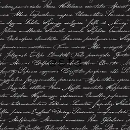  Esta Home Giggle 128036