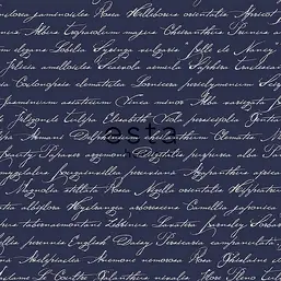  Esta Home Giggle 128040