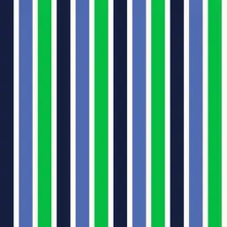  Esta Home Stripes XL 115819