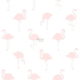  Esta Home Little Bandits 138918