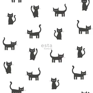  Esta Home Little Bandits 138928 -  1