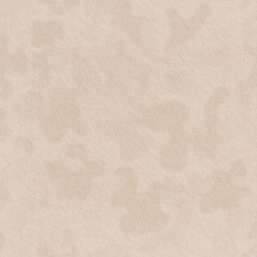  FIPAR Meteora R 24123