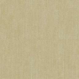  FIPAR Palazzo Terzi R22624