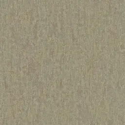  FIPAR Palazzo Terzi R22625