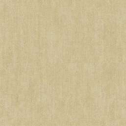  FIPAR Palazzo Terzi R22628